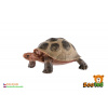 zooted Korytnačka obrovská plast 8cm