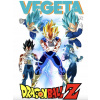 CUKROVÁ TLAČ jedlý obrázok na tortu Cukrová hmota VEGETA DRAGON BALL S + MENO
