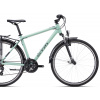 Bicykel CTM Tranz 1.0 Trek Matná Sivozelená 2024 XL
