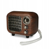 Retro digitálne sieťové rádio (Retro digitálne sieťové rádio)