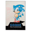 FaNaTtik Sonic - The Hedgehog Ingot Limited Edition