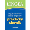 Anglicko-český a česko-anglický Praktický slovník - kolektiv
