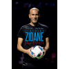 Zinedine Zidane: Dva životy - Patrick Fort, Jean Philippe