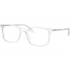 Ray-Ban RX5421 2001 - M (53)