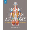 Basic Human Anatomy
