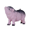 Mojo Vietnamské zvislobruché prasa prasiatko