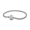 Náramok PANDORA 599046C01-16