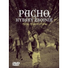Pacho, hybský zbojník (DVD) - Martin Ťapák