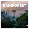 NOTIQUE Nástenný poznámkový kalendár Amazing Rainforest (Dažďové pralesy) 2026 - Notique