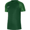 Nike Dri FIT Academy dres dh8031 302