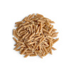 Les fruits du Paradis Cestoviny BIO celozrnné Penne , 1 kg