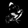 Pop Smoke: Shoot for the Stars, Aim for the Moon Deluxe Edition CD