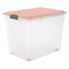 Rotho úložný box COMPACT 70L - ružová