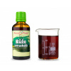 Růže svraskalá - (bylinné kapky - tinktura) 50 ml - doplněk stravy