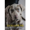 Geniální psi Zvířata jsou chytřejší, než si myslíte