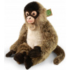 Eco-Friendly opica chápaný 30 cm