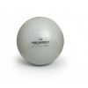 SISSEL Fitlopta SISSEL® Securemax Ball - Ø 75 cm Farba: strieborná + plagát s cvikmi