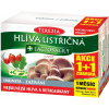 Terezia Company Hliva Ustricová + lactobacily kapsúl 60+60