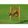 Karlie Agility prekážka - kruh, žltá/červená