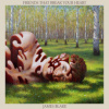 Blake James - Friends That Break Your Heart [CD]