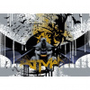 Fototapeta na stenu - FT3726 - DC Comics – Batman 208cm x 146cm - Vliesová fototapeta