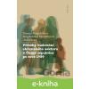 E-kniha Příběhy budování občanského sektoru v České republice po roce 1989 - Tereza Pospíšilová, Magdaléna Šťovíčková Jantulová