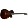 SEAGULL Artist Mosaic CH CW BourbonBurst GT EQ