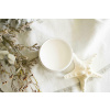 Farba Silk Salt water Objem: 946 ml