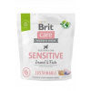 Brit Care Sustainable Sensitive Insect & Fish 1 kg