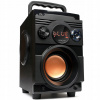 Mobilný reproduktor Squeak BassBlaster SQ1001 18W BT AUX USB SD čierny