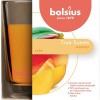 Sviečka Bolsius Jar True Scents 95/95 mm, vonná, mango, v skle