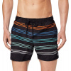 pánske kúpacie kraťasy REEF EMEA VOLLEY Stripes S