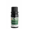 Nobilis Tilia Éterický olej Grapefruit 10 ml