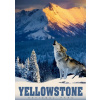 ALIPSON Puzzle Yellowstonský vlk 500 dílků