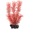 Tetra rastlina Foxtail Red S 15 cm