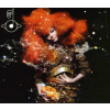 CD Björk: Biophilia DLX | DIGI