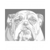 ZUTY Bodkovanie - BULDOG Rámovanie: bez rámu a bez vypnutia plátna, Rozmer: 40x50 cm